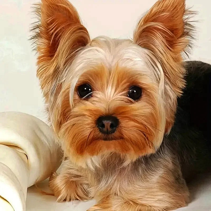 Animal Diamond Painting Kit – Dog Mosaic Art for Home Décor & Gifting
