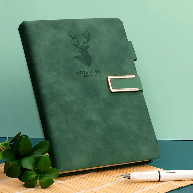 Ultimate Writing Pack: Nebula Fountain Pen, Spring Ink Tool, Leather Notebook