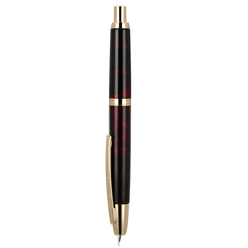 Retractable Metal Fountain Pen