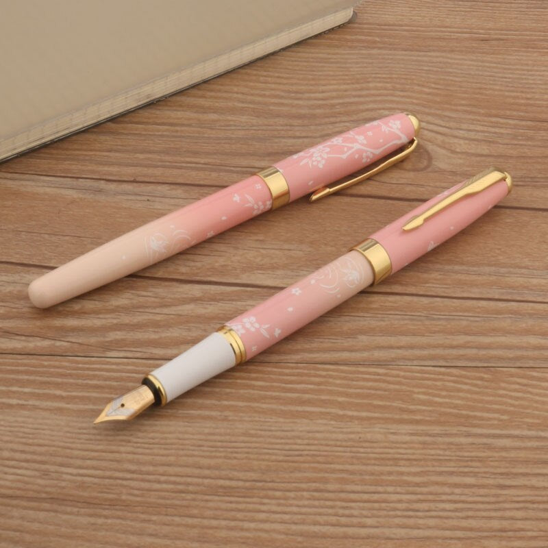 fountain pen, writing with a fountain pen, refillable fountain pens, pen with ink, pen store, nib pen, ink pen, fountain pens for sale, fountain pen shop, calligraphy, best pens