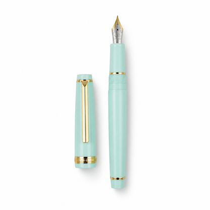 Luxury Fountain Pen with Gold Trim and Fine Nib