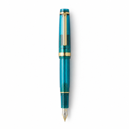 Luxury Fountain Pen with Gold Trim and Fine Nib