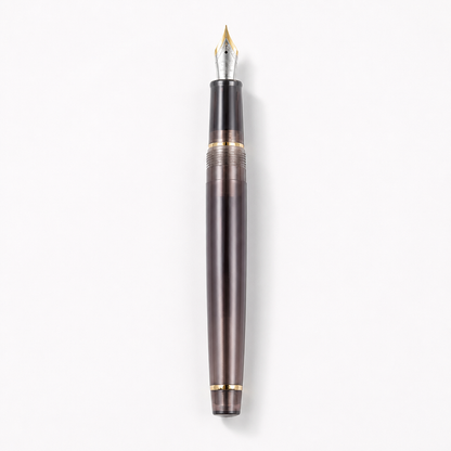 Luxury Fountain Pen with Gold Trim and Fine Nib