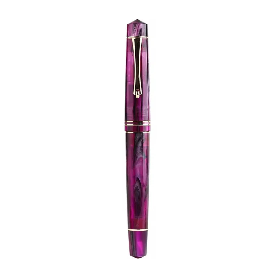 Resin Fountain Pen with Gold Clip