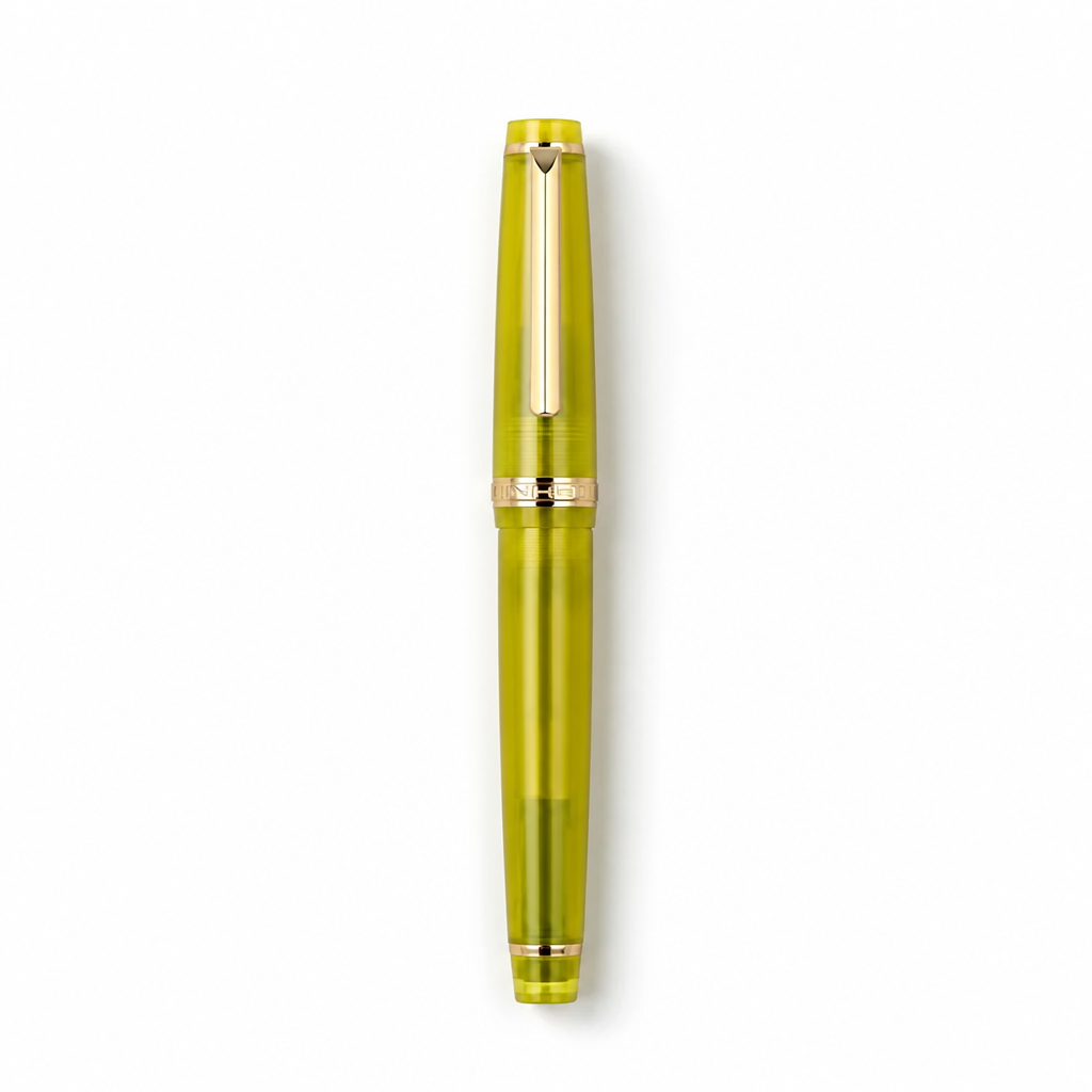 Luxury Fountain Pen with Gold Trim and Fine Nib