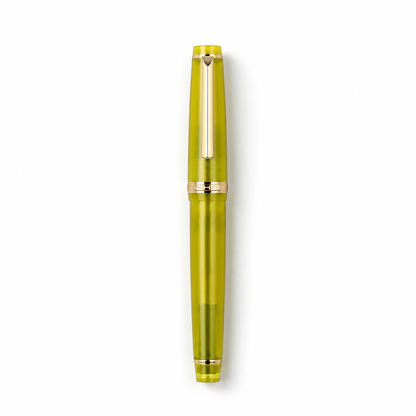 Luxury Fountain Pen with Gold Trim and Fine Nib