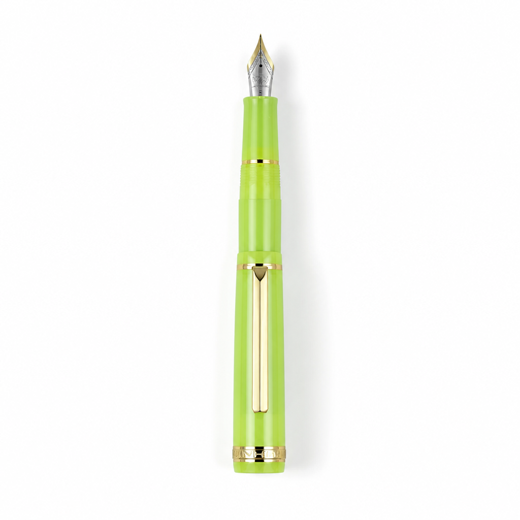 Luxury Fountain Pen with Gold Trim and Fine Nib