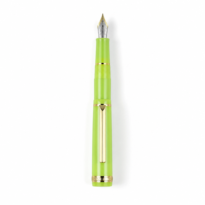 Luxury Fountain Pen with Gold Trim and Fine Nib