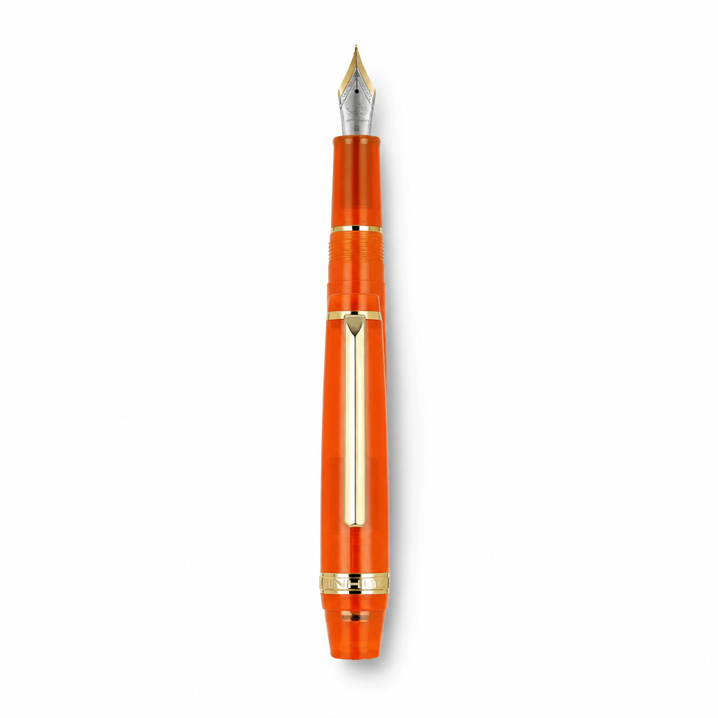 Luxury Fountain Pen with Gold Trim and Fine Nib