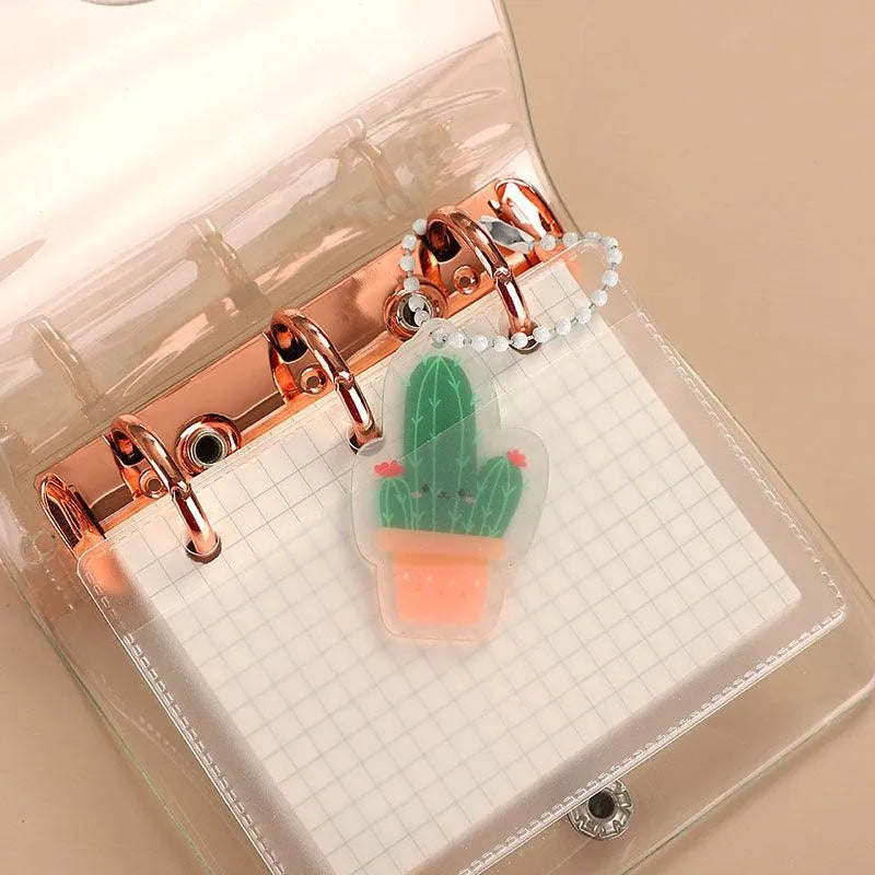 Transparent binder with colorful pages inside