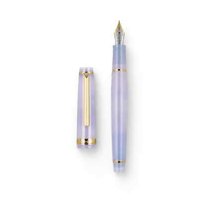 Luxury Fountain Pen with Gold Trim and Fine Nib