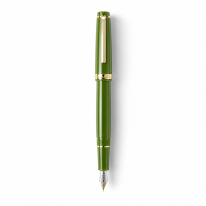Luxury Fountain Pen with Gold Trim and Fine Nib