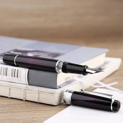 Metal Piston Fountain Pen