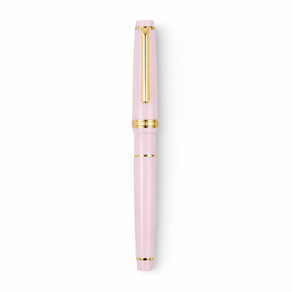 Luxury Fountain Pen with Gold Trim and Fine Nib