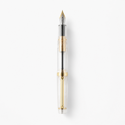 Luxury Fountain Pen with Gold Trim and Fine Nib