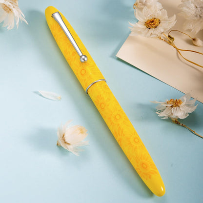 Fountain pen designed for smooth, expressive handwriting