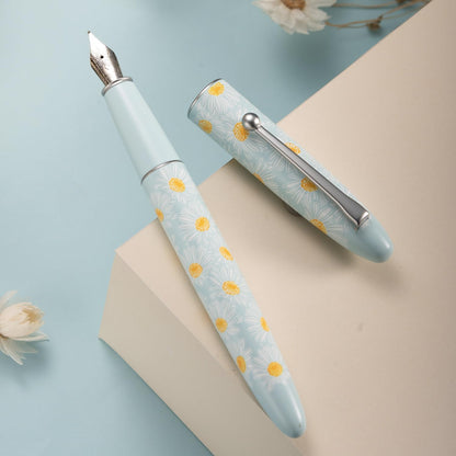 Gift-ready fountain pen for women who enjoy writing