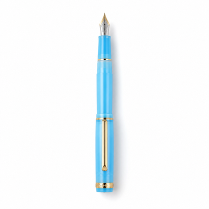 Luxury Fountain Pen with Gold Trim and Fine Nib