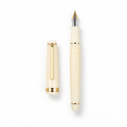 Luxury Fountain Pen with Gold Trim and Fine Nib