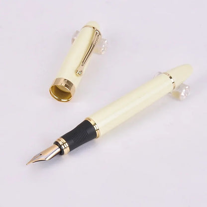 Premium Fountain Pen with Iraurita Nib