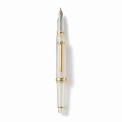 Luxury Fountain Pen with Gold Trim and Fine Nib