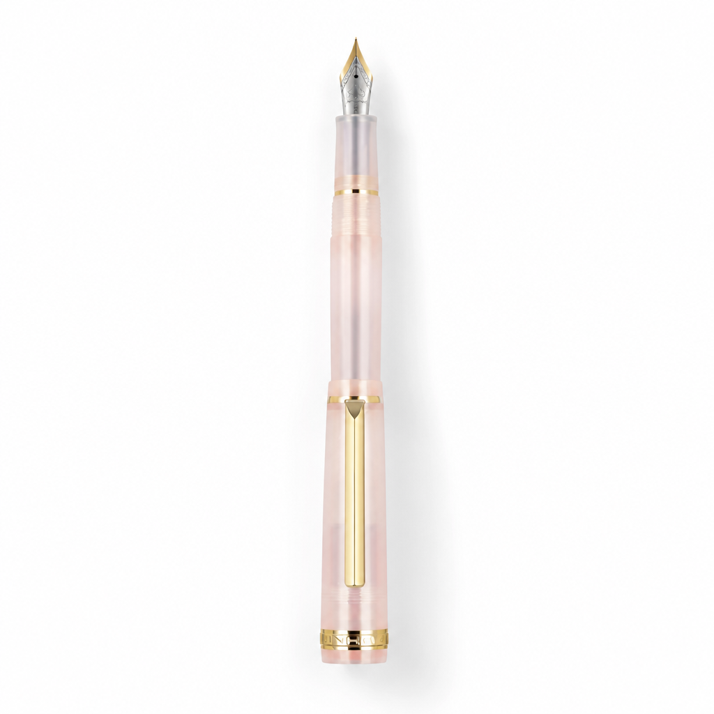 Luxury Fountain Pen with Gold Trim and Fine Nib