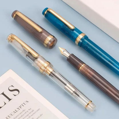 Luxury Fountain Pen with Gold Trim and Fine Nib