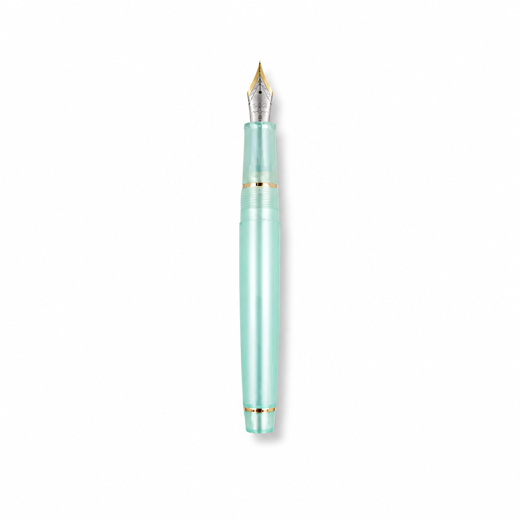 Luxury Fountain Pen with Gold Trim and Fine Nib
