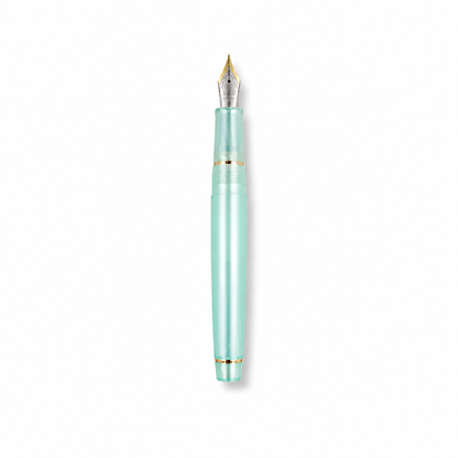 Luxury Fountain Pen with Gold Trim and Fine Nib