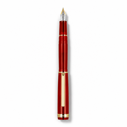 Luxury Fountain Pen with Gold Trim and Fine Nib
