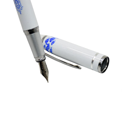 fountain pen, writing with a fountain pen, refillable fountain pens, pen with ink, pen store, nib pen, ink pen, fountain pens for sale, fountain pen shop, calligraphy, best pens