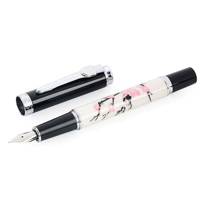 fountain pen, writing with a fountain pen, refillable fountain pens, pen with ink, pen store, nib pen, ink pen, fountain pens for sale, fountain pen shop, calligraphy, best pens